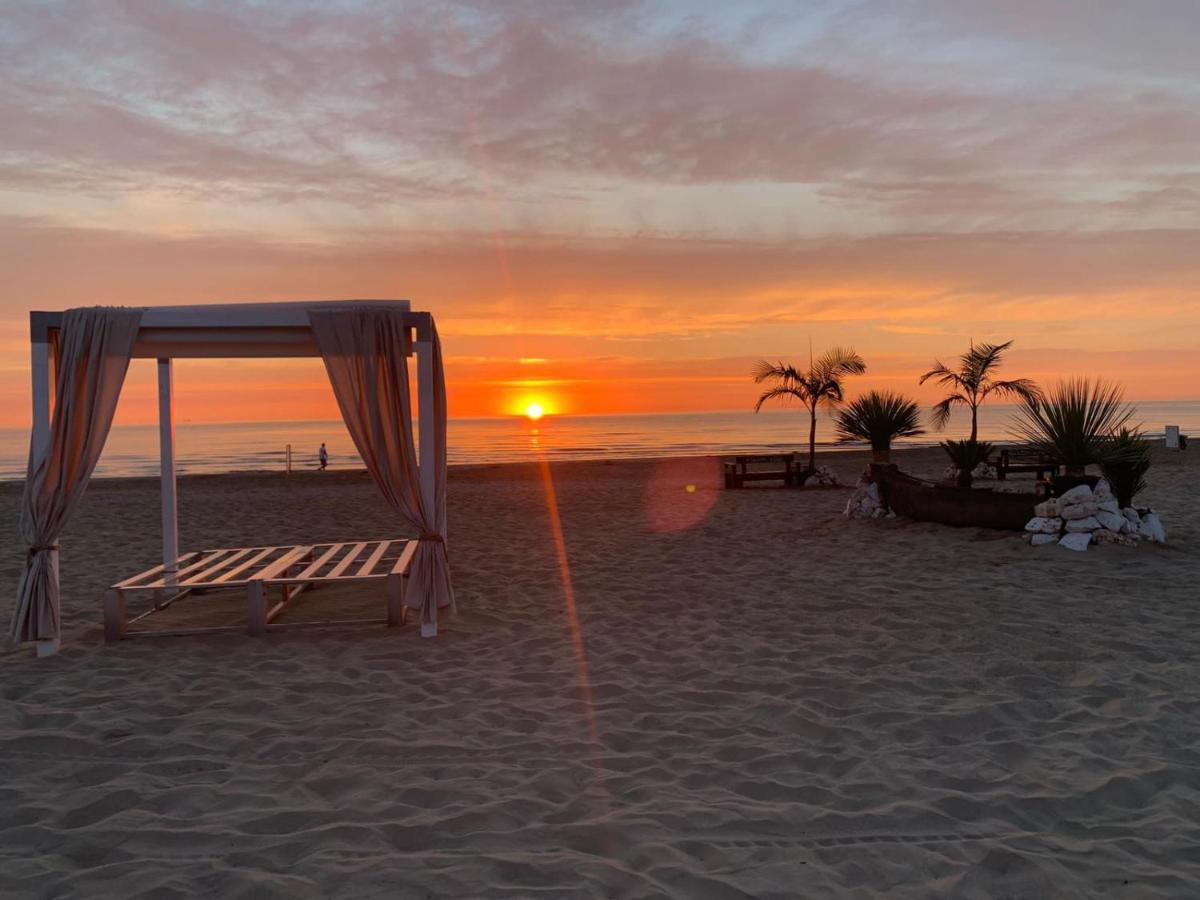 Hotel Berenice ريميني المظهر الخارجي الصورة