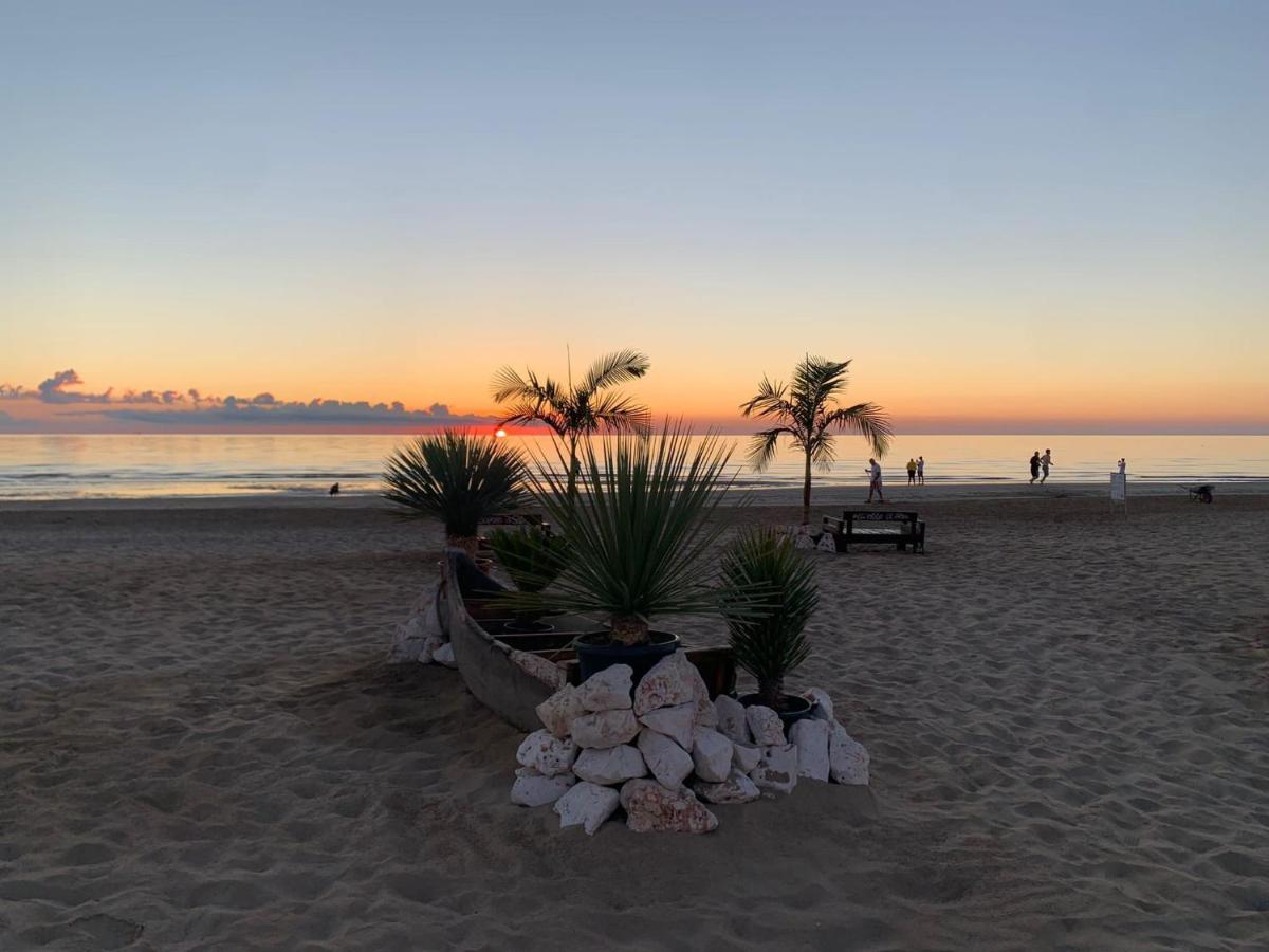 Hotel Berenice ريميني المظهر الخارجي الصورة