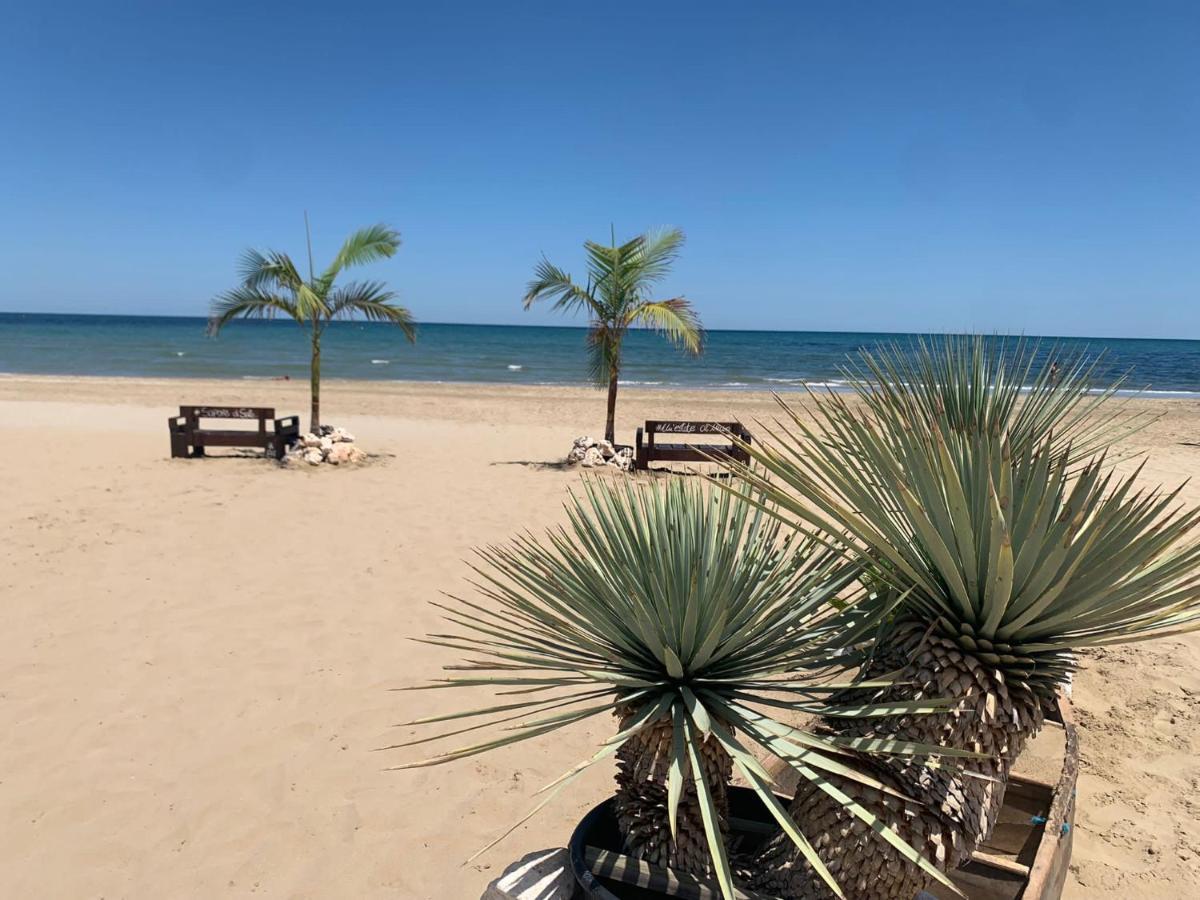 Hotel Berenice ريميني المظهر الخارجي الصورة